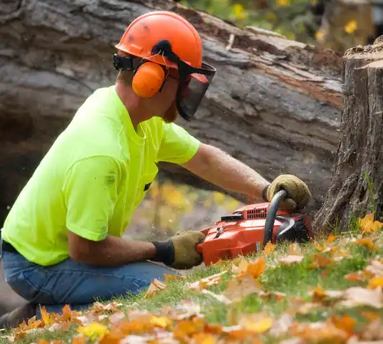 tree services Grayling